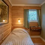 Trysilfjellet Sor 480